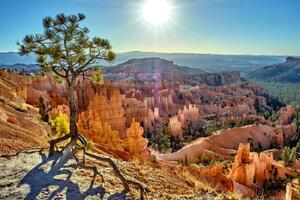 DIMEX | Vliesová fototapeta Národní park Bryce Canyon MS-5-3017 | 375 x 250 cm | zelená, modrá, hnědá