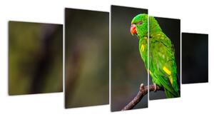 Obraz zeleného papouška (150x70cm)