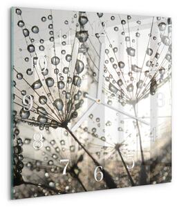 Skleněné hodiny Kapky rosy zskb-30x30-00085104