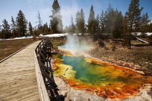 DIMEX | Vliesová fototapeta Yellowstonský park MS-5-3027 | 375 x 250 cm | zelená, modrá, oranžová, hnědá