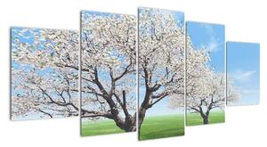 Obraz kvetoucího stromu na jarní louce (150x70cm)