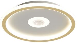 Abigali Modern nástěnné svítidlo 1x28 W bílá-zlatá MD1805-RH-G