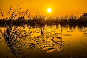 DIMEX | Vliesová fototapeta Jezero v Thajsku MS-5-3056 | 375 x 250 cm | černá, žlutá