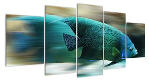 Obraz na stenu - ryby (150x70cm)