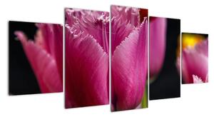 Tulipány - obrazy (150x70cm)