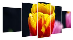 Obraz tulipánu (150x70cm)