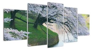 Obraz kvetoucích stromů (150x70cm)