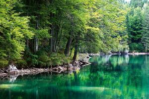 DIMEX | Vliesová fototapeta Jezero a les MS-5-3063 | 375 x 250 cm | zelená, modrá, bílá