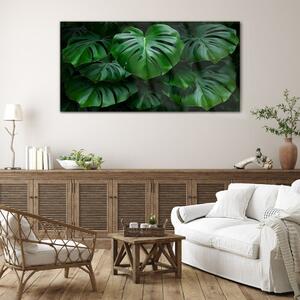 Obraz na skle Obraz na skle Moderní listy rostlin