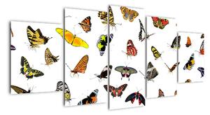 Obrazy motýlů (150x70cm)