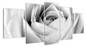 Černobílý obraz růže (150x70cm)