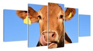 Obraz krávy (150x70cm)