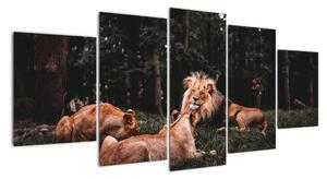 Obrazy - lvi v lese (150x70cm)
