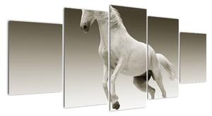 Obrazy bílého koně (150x70cm)