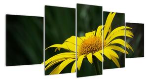 Obraz žlutého květu (150x70cm)
