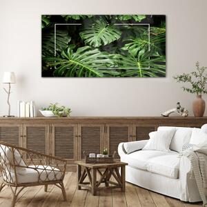 Obraz na skle Obraz na skle Listy květinovské rostliny