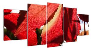 Obraz červených listů (150x70cm)