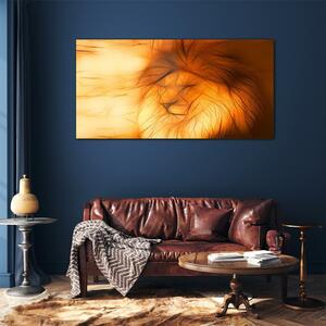 Obraz na skle Obraz na skle Abstraktní zvířecí kočka lva
