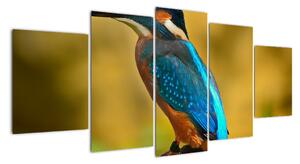 Obraz - barevný pták (150x70cm)