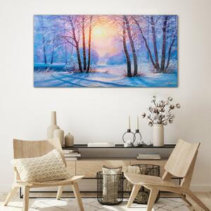 Obraz na skle Obraz na skle Zimní les slunce příroda