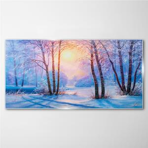 Obraz na skle Obraz na skle Zimní les slunce příroda