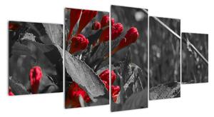 Červené květy - moderní obrazy (150x70cm)