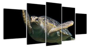 Obraz plovoucí želvy (150x70cm)