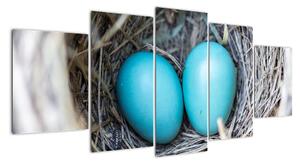 Obraz modrých vajíček v hnízdě (150x70cm)