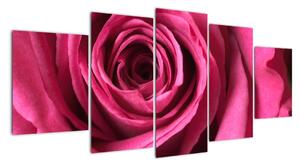 Obraz růžové růže (150x70cm)