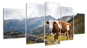 Obraz krávy na louce (150x70cm)