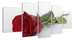 Obraz rudé růže (150x70cm)