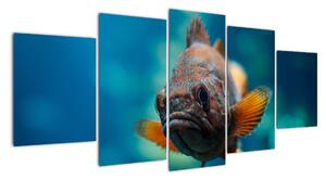 Obraz - ryba (150x70cm)