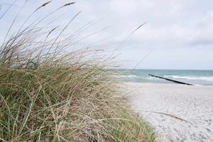 DIMEX | Vliesová fototapeta Vlnolam na pláži MS-5-3204 | 375 x 250 cm | zelená, modrá, bílá