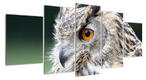 Vyhlížející sova - obraz (150x70cm)