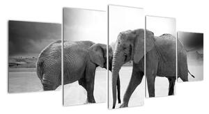 Obraz - sloni (150x70cm)