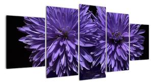 Obraz fialových květů (150x70cm)