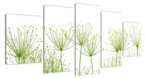 Obraz rostlin na bílém pozadí (150x70cm)