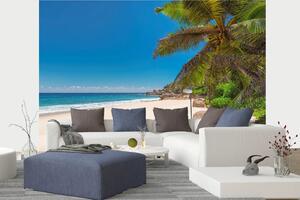 DIMEX | Vliesová fototapeta Tropická pláž MS-5-3215 | 375 x 250 cm | zelená, modrá, bílá