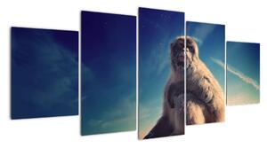 Obraz opice - obrazy zvířat (150x70cm)