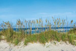 DIMEX | Vliesová fototapeta Tráva na pláži MS-5-3220 | 375 x 250 cm | zelená, modrá, bílá
