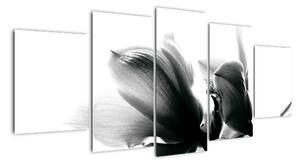 Obraz černobílých květů (150x70cm)