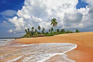 DIMEX | Vliesová fototapeta Divoká pláž Srí Lanky MS-5-3227 | 375 x 250 cm | zelená, bílá, žlutá