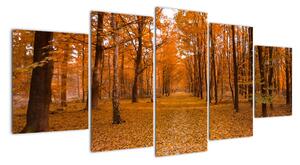 Obraz lesní cesty (150x70cm)