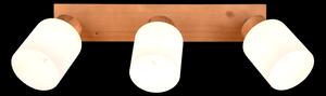 Trio R81113030 přisazené stropní bodové svítidlo Assam 3x25W | E14 - dřevo, bílá