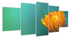 Obraz oranžového květu (150x70cm)