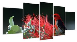 Obraz ptáků - červená (150x70cm)