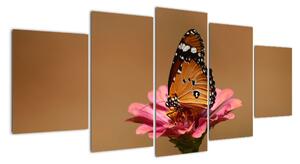 Obraz motýla (150x70cm)