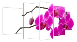Obraz orchidejí na zeď (150x70cm)