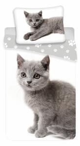 Stanex Ložní povlečení bavlněné Kitten Grey (LS362) - 140x200 cm + polštář 90x70 cm
