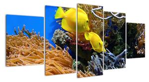 Podmořský svět - obraz (150x70cm)